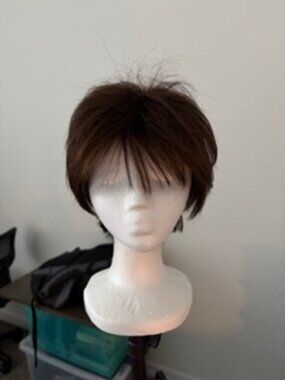 Rene of Paris Wig